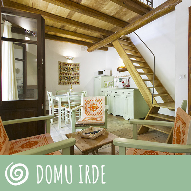 DOMU IRDE